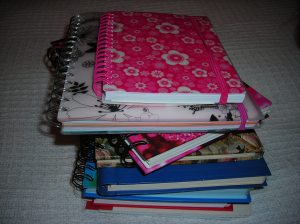 I use journals as a way to get into the writing and editing process.