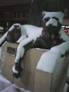 Cougar sculpture outside Anthology Book Co., in Loveland, by Rosetta.